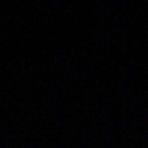 Meet your Posher, Rio